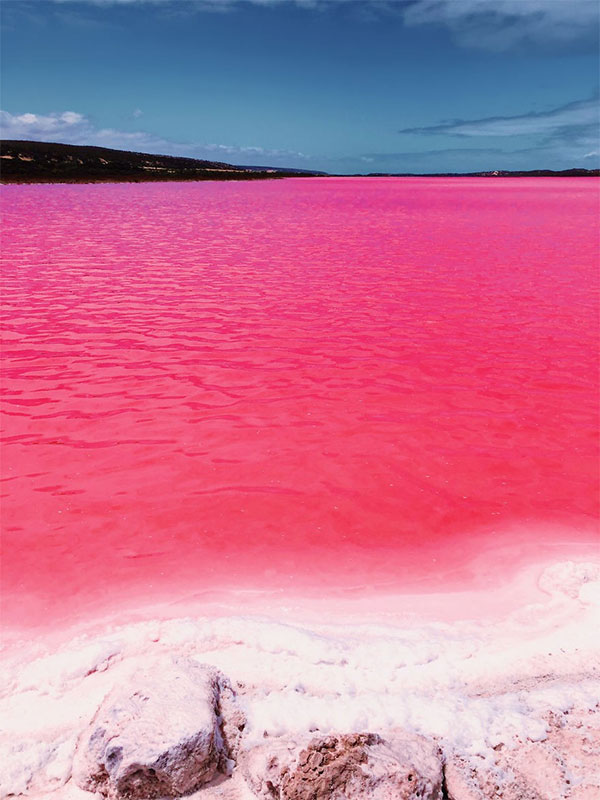 Các nhà khoa học cho biết màu hồng của hồ có nguồn gốc từ loại tảo có tên Dunaliella salina